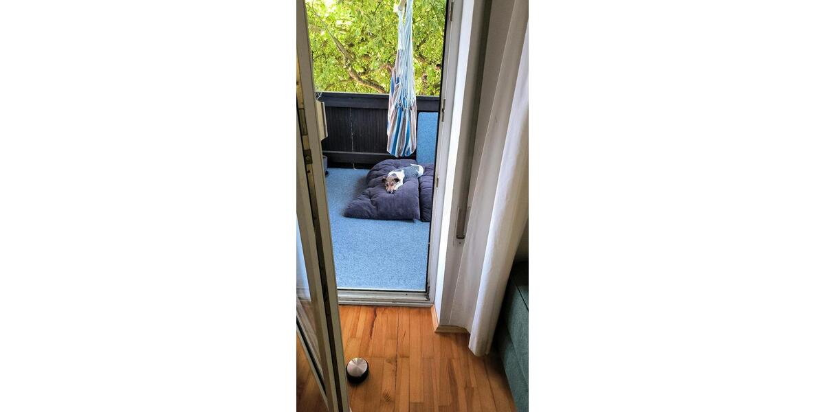 Wohnen auf Zeit Schwabach - 1 Zimmer, 15 m&sup2;, 380&euro; | Angebot:24746599