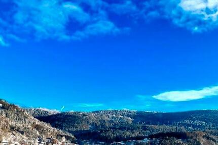 Edle 120 qm Panorama Wohnung A Lage Zentrum Bodenmais 4 zimmer