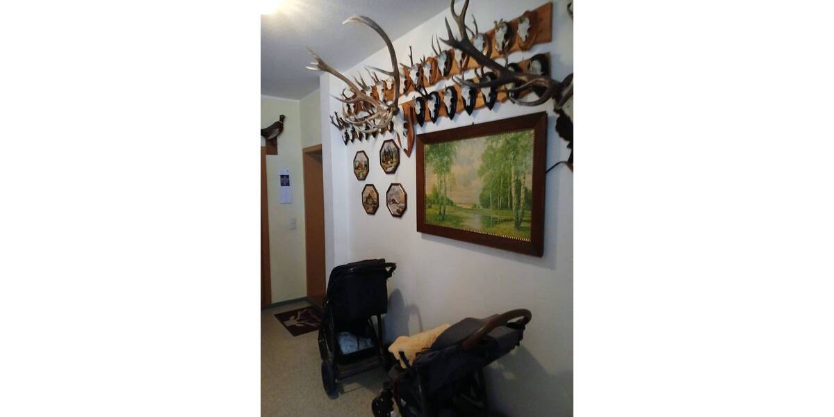 Etagenwohnung Haselbachtal / Reichenbach Reichenbach - 2 Zimmer, 59 m&sup2;, 354&euro; | Angebot:26065309