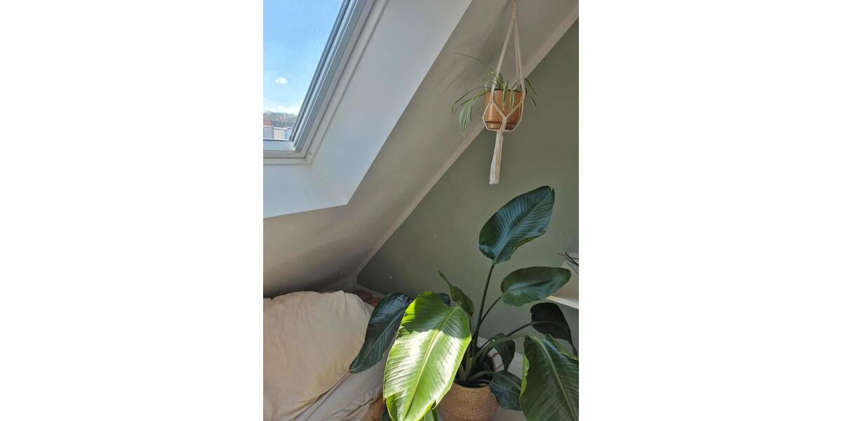 Wohnen auf Zeit Osnabrück Fledder - 5 Zimmer, 80 m&sup2;, 441&euro; | Angebot:25973580