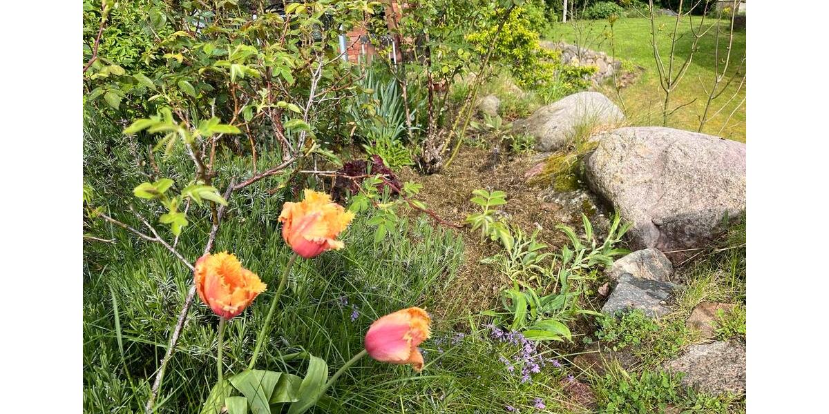 Erdgeschoßwohnung Lubmin - 1 Zimmer, 43 m&sup2;, 650&euro; | Angebot:24374319