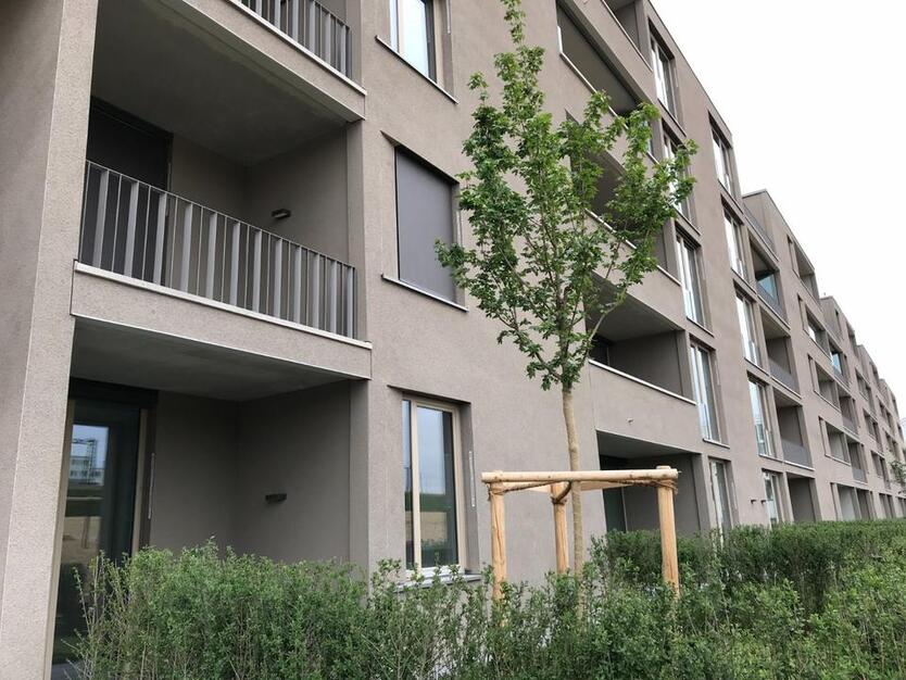 2-Zi GartenWohnung im Dörnberg Viertel – ab Aug.Sep. verfügbar