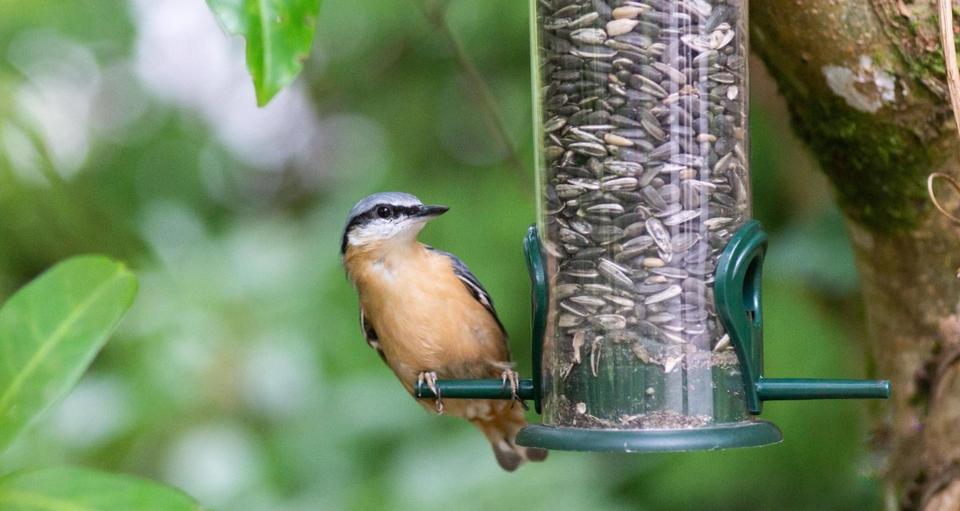 Wohnen auf Zeit Zemmer - 1 Zimmer, 20 m&sup2;, 350&euro; | Angebot:21871551