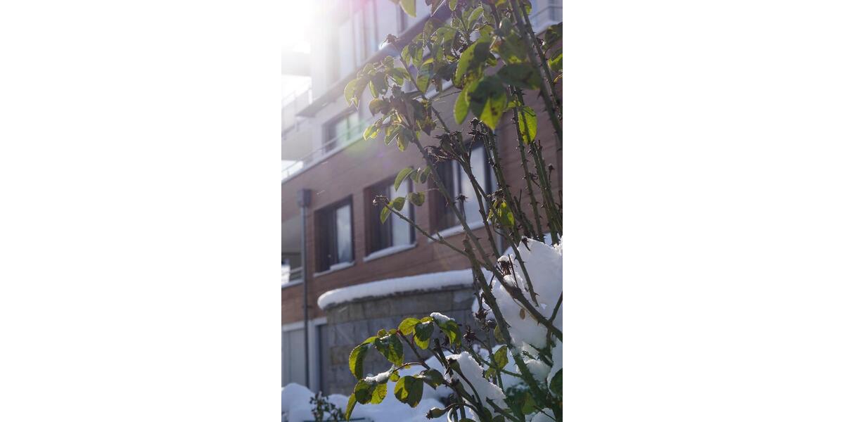 Etagenwohnung Bodman-Ludwigshafen Ludwigshafen - 3 Zimmer, 65 m&sup2;, 1.200&euro; | Angebot:25413143