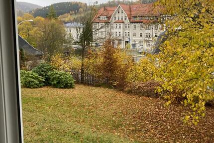 Wohnung Olbernhau - 2 Zimmer, 48 m&sup2;, 290&euro; | Angebot:26025345