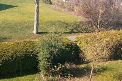 Wohnung Spenge - 1 Zimmer, 45 m&sup2;, 400&euro; | Angebot:25784134