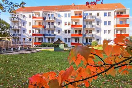 Wohnung Freiberg - 3 Zimmer, 60 m&sup2;, 439&euro; | Angebot:26479883