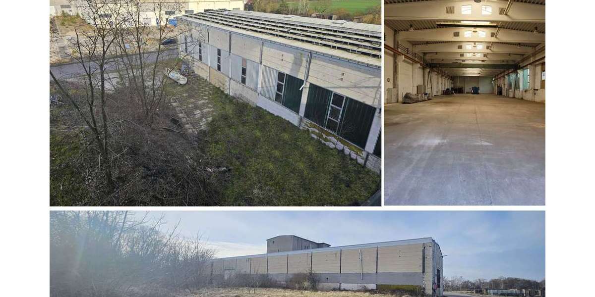 Gewerbeobjekt Laußig - 5.130&euro; | Angebot:27006681