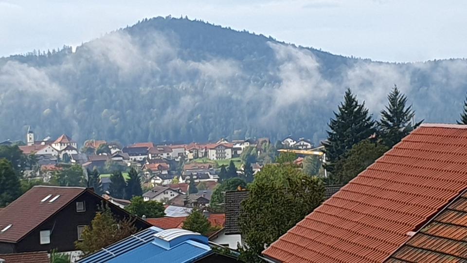 Etagenwohnung Bodenmais - 1 Zimmer, 27 m&sup2;, 370&euro; | Angebot:25802699