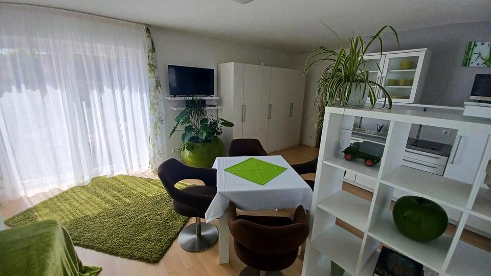 Erdgeschoßwohnung Lenningen - 1 Zimmer, 30 m&sup2;, 749&euro; | Angebot:26326732
