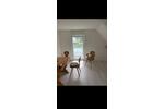 Dachgeschoßwohnung Eisenbach (Hochschwarzwald) - 4 Zimmer, 80 m&sup2;, 700&euro; | Angebot:26483152