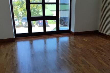 Wohnung Steinach - 1 Zimmer, 55 m&sup2;, 650&euro; | Angebot:24378226