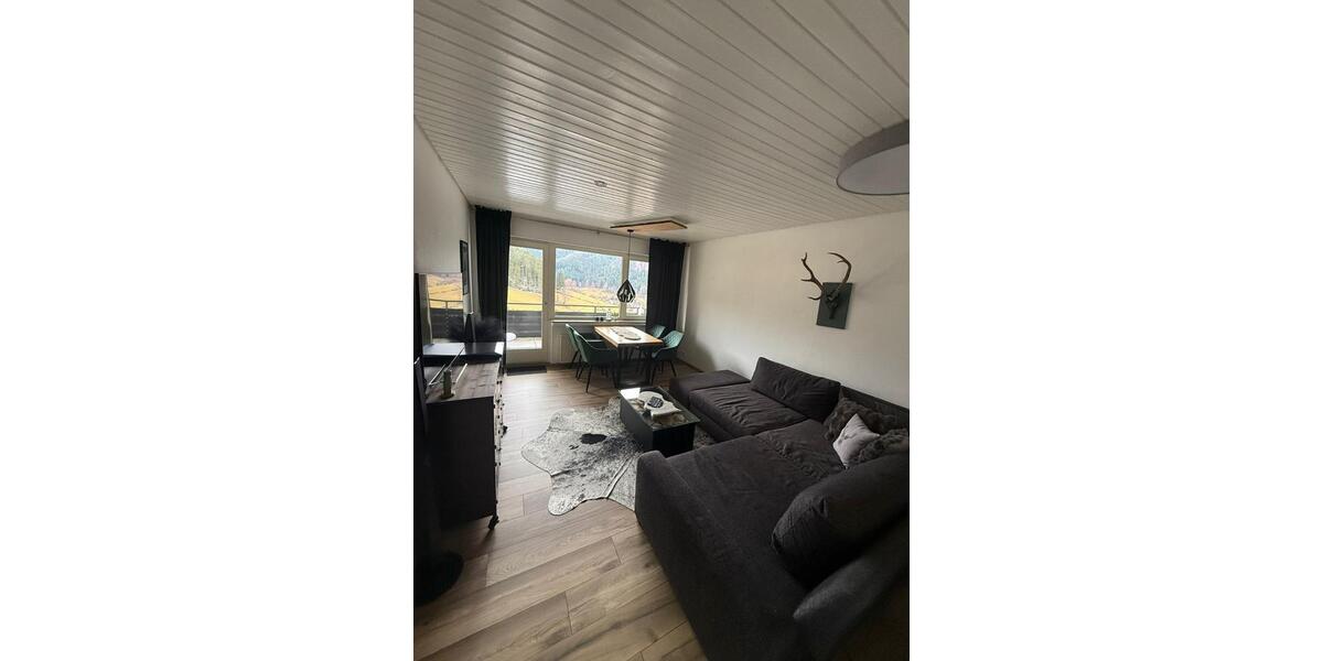 Etagenwohnung Baiersbronn - 2 Zimmer, 58 m&sup2;, 579&euro; | Angebot:25856628