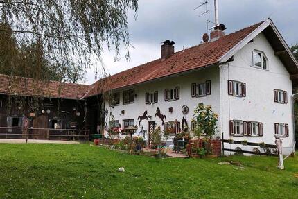 Wohnung Triftern - 1 Zimmer, 50 m&sup2;, 500&euro; | Angebot:26646633