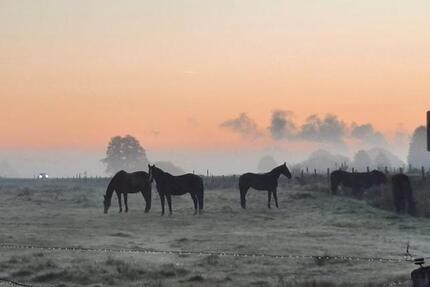Wohnung Dörpen - 3.5 Zimmer, 65 m&sup2;, 700&euro; | Angebot:25162388