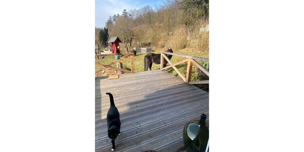 Wohnen auf Zeit Nieheim - 1 Zimmer, 13 m&sup2;, 350&euro; | Angebot:25982250