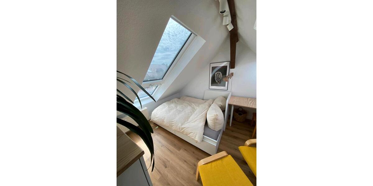 Dachgeschoßwohnung Jena - 1 Zimmer, 23 m&sup2;, 750&euro; | Angebot:26403953