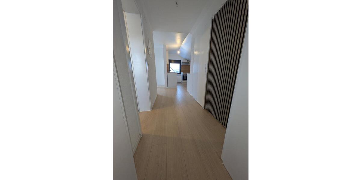 Frisch saniert: Helle DG-Wohnung zwischen Rhein & Reben in Winkel 2 zimmer