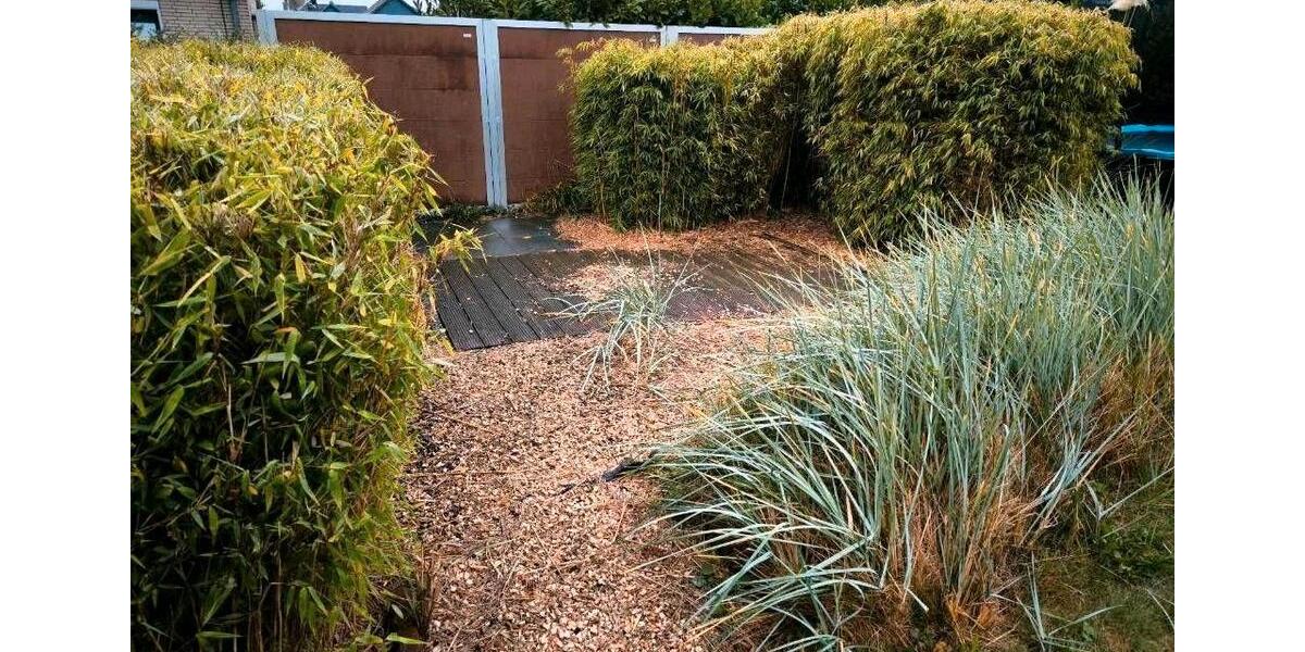 Etagenwohnung Jembke - 2 Zimmer, 105 m&sup2;, 1.050&euro; | Angebot:26038864