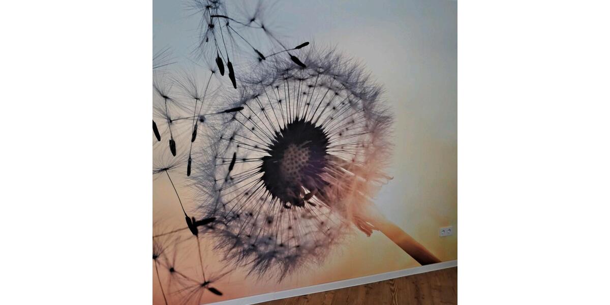 Gewerbeobjekt Hildesheim - 600&euro; | Angebot:25349445