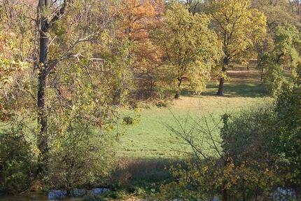 Wohnung Torgau - 3 Zimmer, 88 m&sup2;, 530&euro; | Angebot:24810861