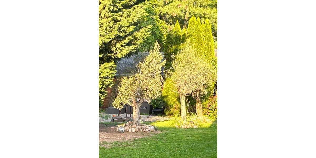 Erdgeschoßwohnung Euskirchen - 5 Zimmer, 200 m&sup2;, 1.400&euro; | Angebot:24769214