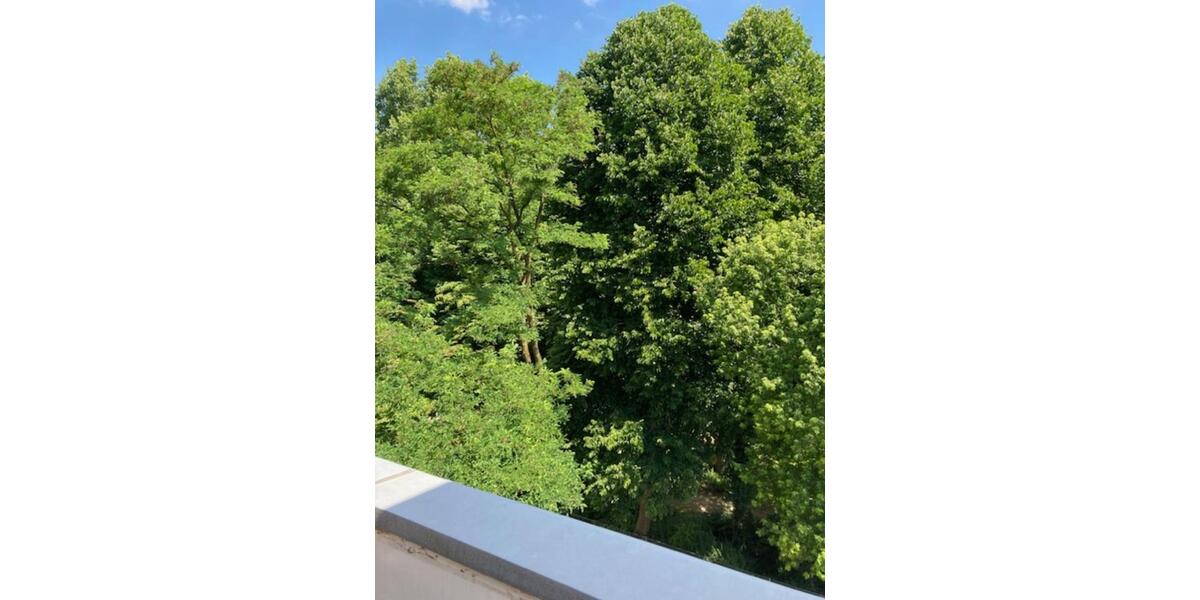 Etagenwohnung Wuppertal Eckbusch - 1 Zimmer, 64 m&sup2;, 578&euro; | Angebot:21695352