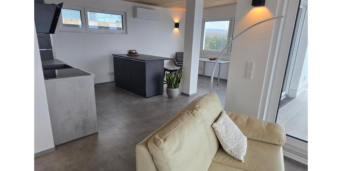 Wohnen auf Zeit Vallendar - 1 Zimmer, 60 m&sup2;, 1.750&euro; | Angebot:26044211