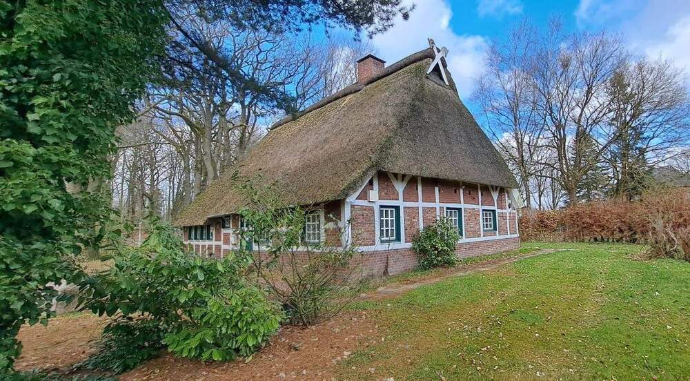 Gewerbeobjekt Sauensiek - 2 Zimmer, 110 m&sup2;, 1.500&euro; | Angebot:26064160