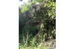 Freizeitgrundstück mit Felsenhöhle - Wangener Höhe -Rappenklinge