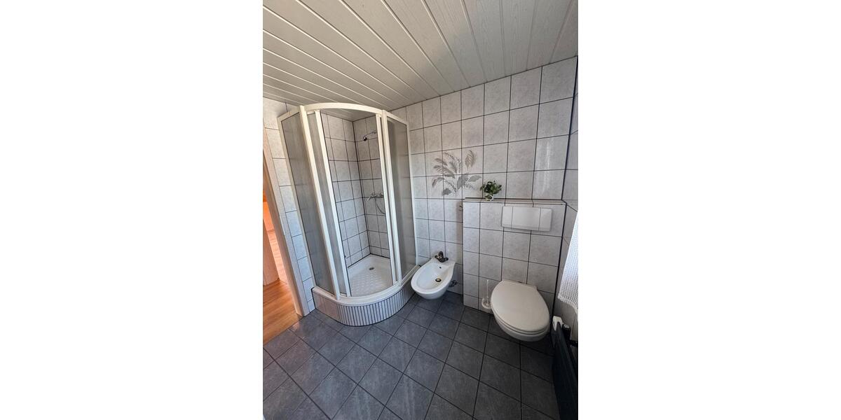 Dachgeschoßwohnung Borken (Hessen) - 2 Zimmer, 60 m&sup2;, 650&euro; | Angebot:26279471