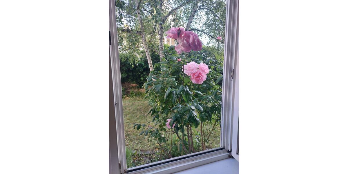 Gewerbeobjekt Darmstadt Bessungen - 500&euro; | Angebot:23802329