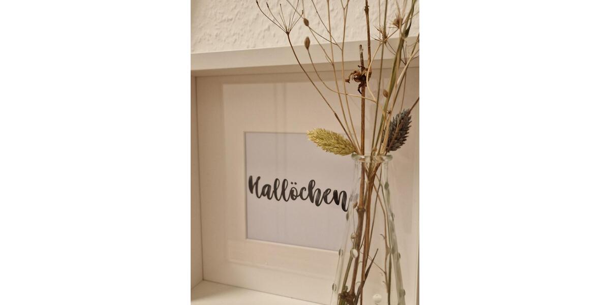 Erdgeschoßwohnung Haselünne - 3 Zimmer, 1.050&euro; | Angebot:23544221