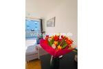Etagenwohnung München Aubing-Lochhausen-Langwied - 2 Zimmer, 49 m&sup2;, 570&euro; | Angebot:26429032