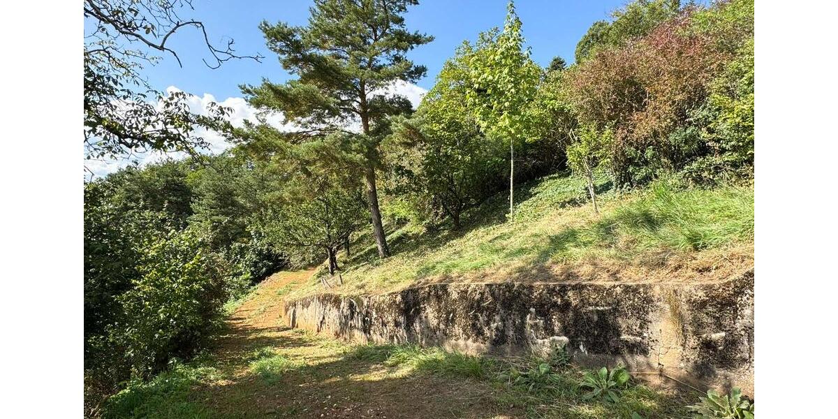 Gewerbeobjekt Thalmässing - 4.600&euro; | Angebot:22533305