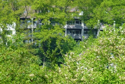 2 Zimmer, Kochnische, Dusch-Bad, Loggia.......Junggesellen-Wohnung 1 zimmer