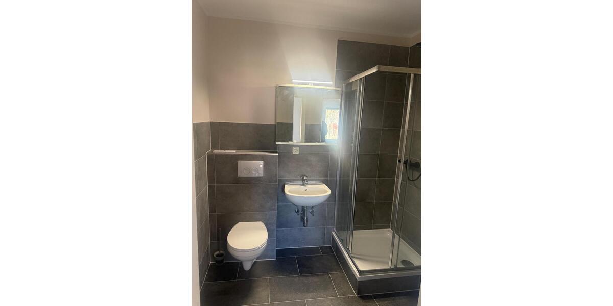 Wohnen auf Zeit Heidenau - 8 Zimmer, 200 m&sup2;, 30&euro; | Angebot:25356094