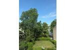 Etagenwohnung Offenbach am Main Buchrain - 2 Zimmer, 53 m&sup2;, 650&euro; | Angebot:26705430