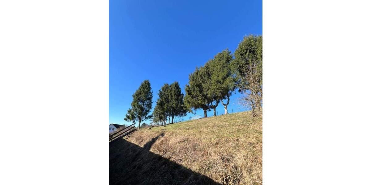 Etagenwohnung Bad Grund Windhausen - 3 Zimmer, 120 m&sup2;, 700&euro; | Angebot:25863788