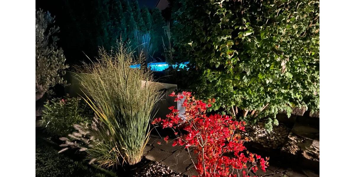 Einfamilienhaus ab März 2026 zu vermieten 5 zimmer