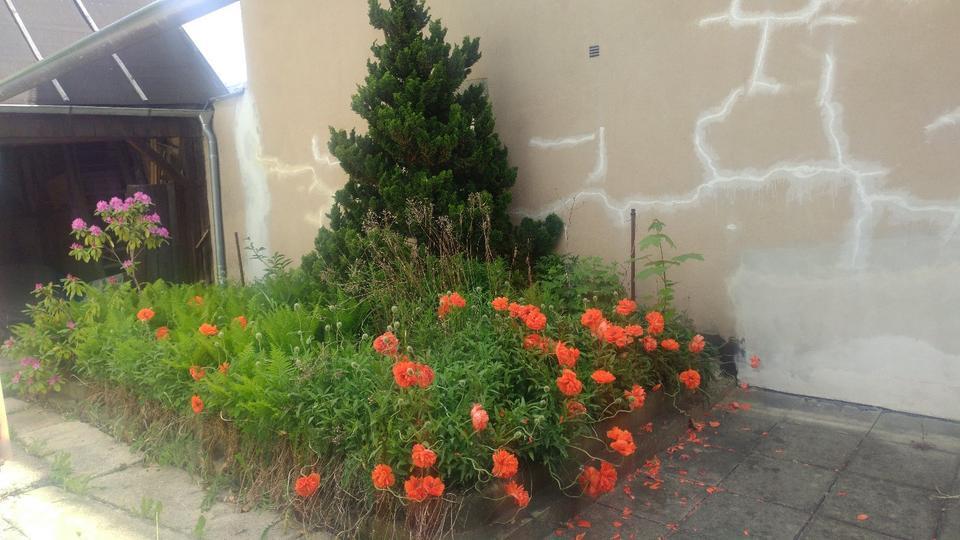 Repräsentative, helle 6 Zi-AltbauWohnung in Rehau-Stadtmitte