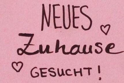 Wohnung mieten zimmer