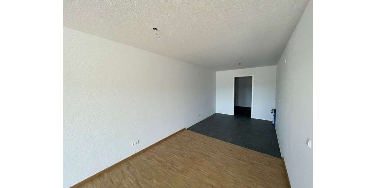 Wohnung zum Mieten in Müllheim 1.291,10 € 94.7 m² 2 zimmer