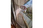 Etagenwohnung Schweinfurt Haardt - 2 Zimmer, 56 m&sup2;, 532&euro; | Angebot:26167499
