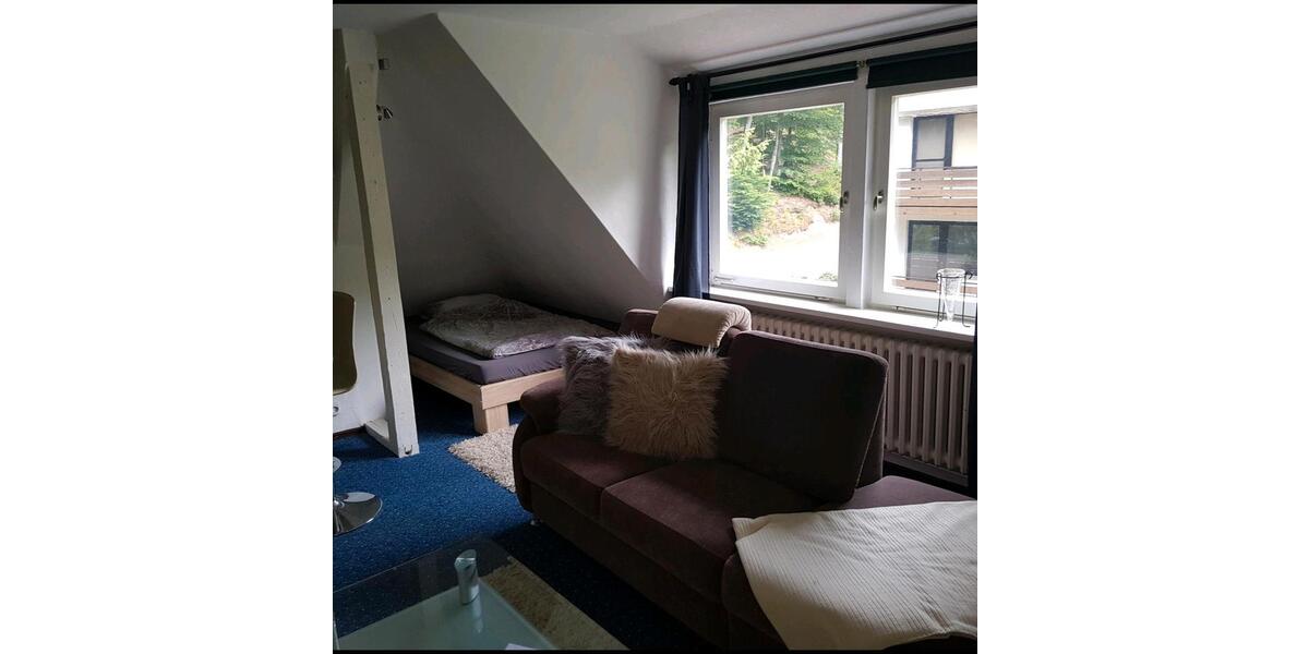 Wohnen auf Zeit Bad Lauterberg im Harz - 1 Zimmer, 16 m&sup2;, 580&euro; | Angebot:26112215