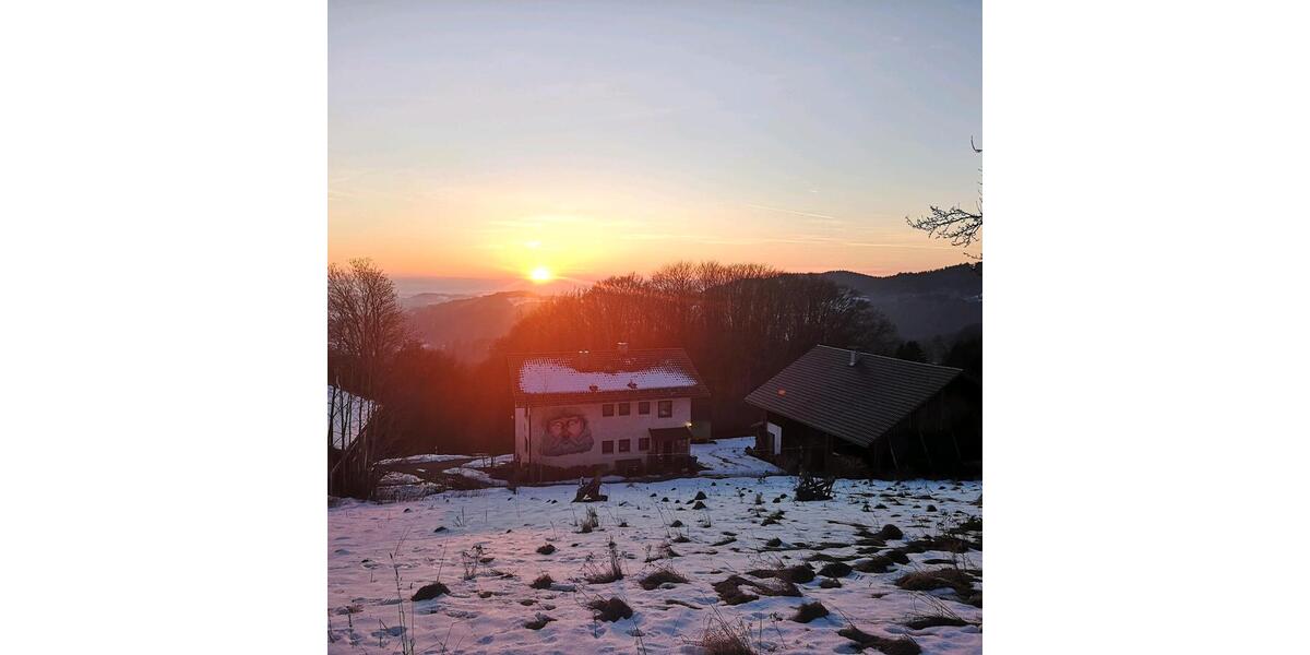 Wohnen auf Zeit Haibach - 2 Zimmer, 20 m&sup2;, 350&euro; | Angebot:26331796