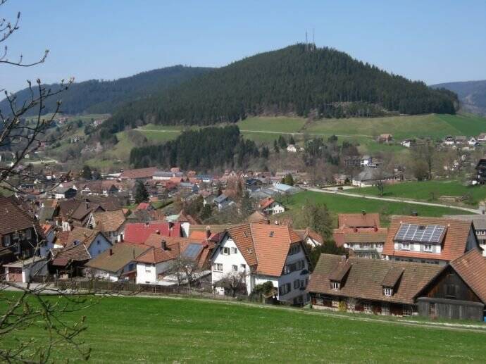 Etagenwohnung Baiersbronn - 2 Zimmer, 69 m&sup2;, 380&euro; | Angebot:25821444