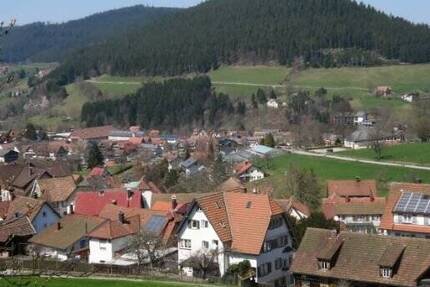 Wohnung Baiersbronn - 2 Zimmer, 69 m&sup2;, 380&euro; | Angebot:25821444