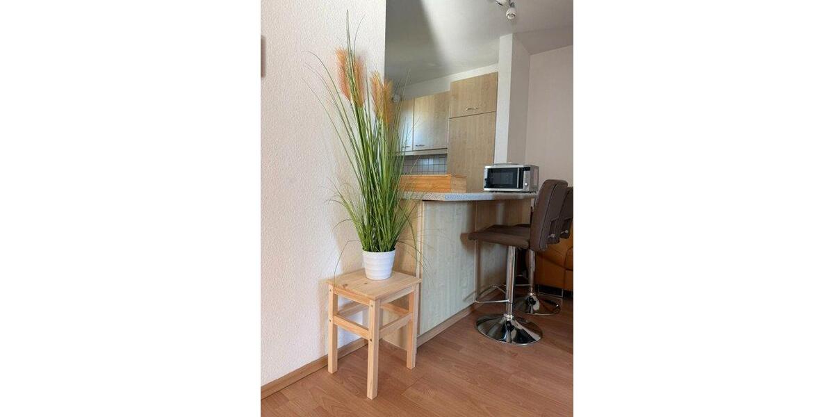 Wohnen auf Zeit Hanau Großauheim - 3 Zimmer, 48 m&sup2;, 1.118&euro; | Angebot:26194637