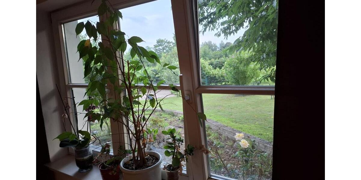 wg-platz für nur eine Person 65 Quadratmeter 3 zimmer